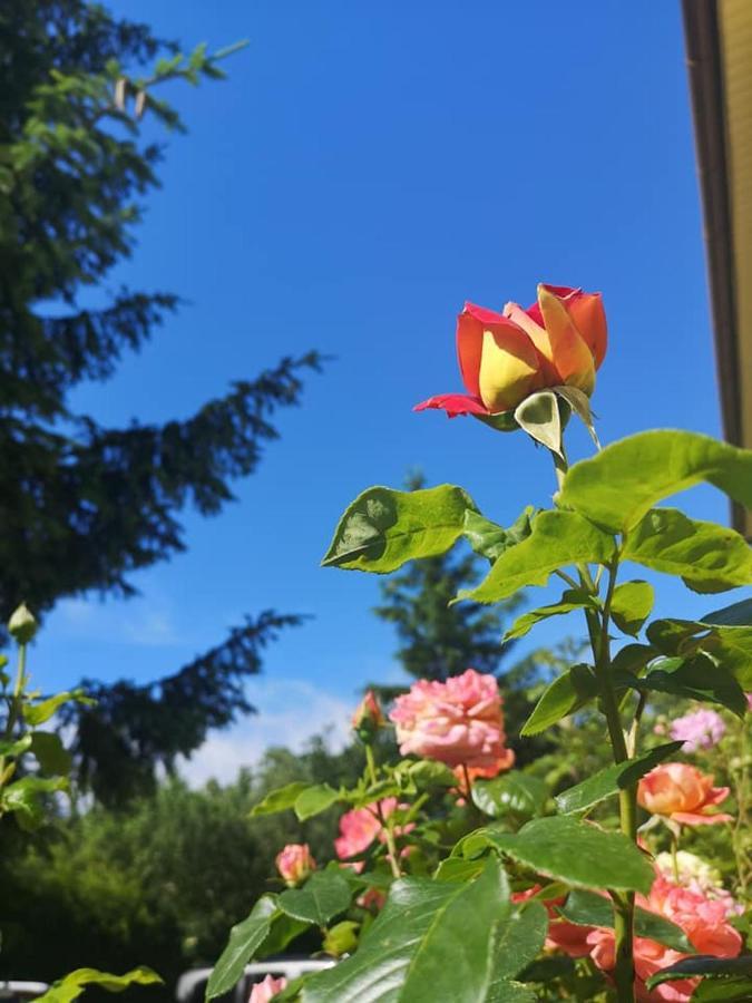 Penzion Pod Orechom Turčianske Teplice Eksteriør bilde